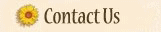 Contattaci
