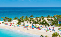 A beach in Bimini, which is located less than 60 miles off the coast of Miami.