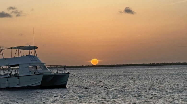 A short visit on Bonaire