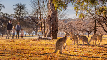Canberra, Australia