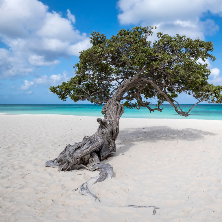 Caribbean Southern Cruises