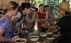 EF Go Ahead Tours says its new culinary itineraries can introduce travelers to different cultures through food.