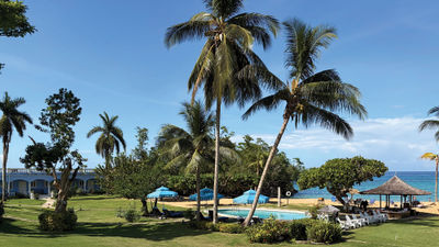 The grounds of the Jamaica Inn in Ocho Rios show no damage five weeks after Melissa.
