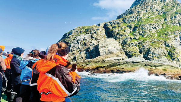 Passengers on Havila Voyages' Pollux get a close look at one of Norway's largest bird sanctuaries, in the North Cape.
