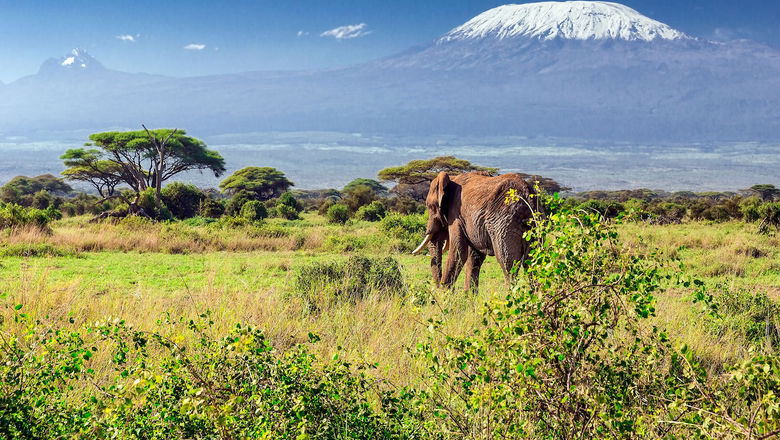 Photo courtesy of Air France