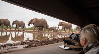 Botswana's remote Tuli Block is home to elephants and some of the continent's largest baobab trees -- hence the reserve's nickname, "The Land of the Giants."
