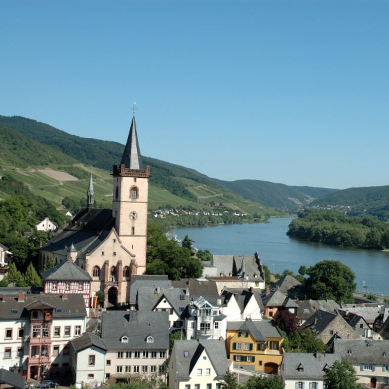 Rhine River Cruises
