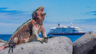 Sponsored: Hurtigruten Expeditions Grand Expeditions Brochure 2023-2024