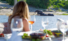 Tauck is waiving single supplement fees on some river cruises and reducing the fees on certain land itineraries, including to Africa.