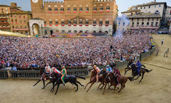 The Palio di Siena horse race on the Main Square in Siena, Italy. Red Savannah packages travel around the event.